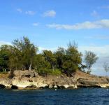 Boracay Crocodile Island