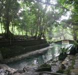 Ardent Hot Springs 