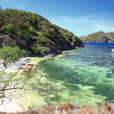 Malcapuya Island (Coron)