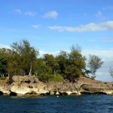 Boracay Crocodile Island