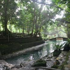 Ardent Hot Springs 