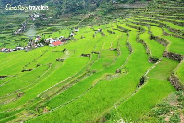 Batad: An Amphitheater of Rice Terraces
