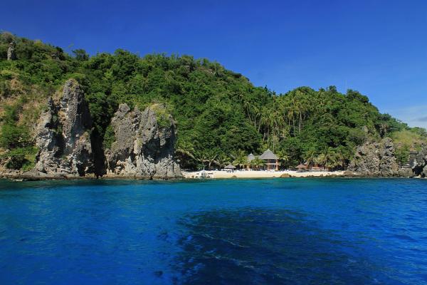 The Marine Sanctuary and Tourism of Apo Island