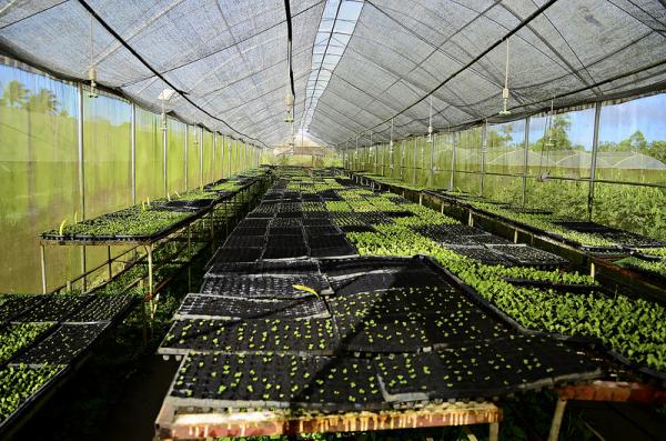 Philippines’ First Agrotourism Destination: Costales Nature Farm
