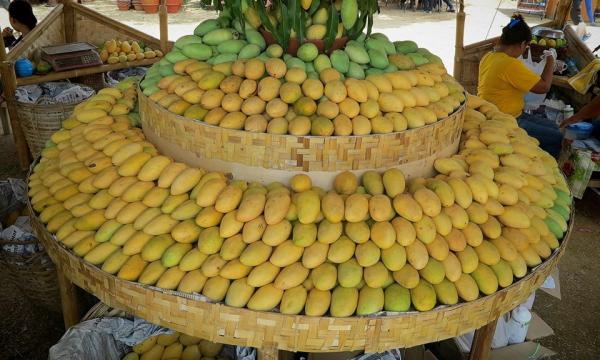 MANGOES TO THE MAX