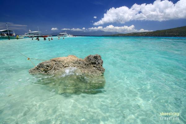 Oslob: Whale Sharks and the Sumilon Island Sandbar