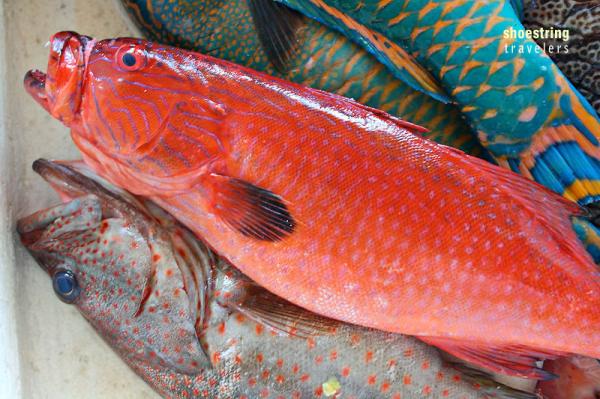 REAL SEAFOOD... IN REAL, QUEZON