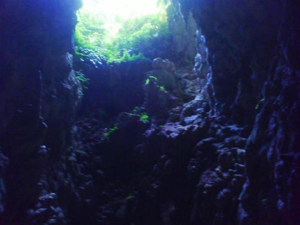 Sudlon Cave: Largest Cave of Bohol