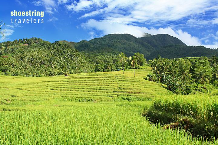 Iyusan Rice Terraces