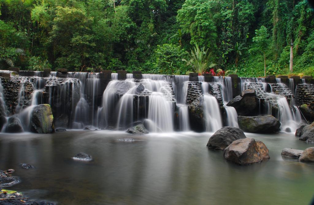 Discovering Bumbungan Eco-Park