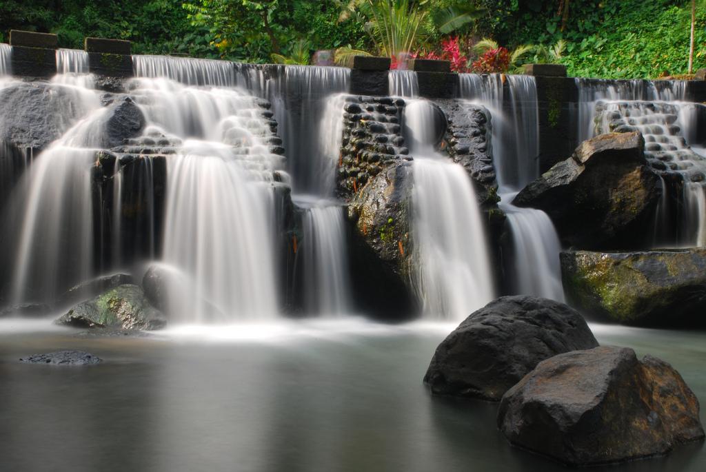 Discovering Bumbungan Eco Park