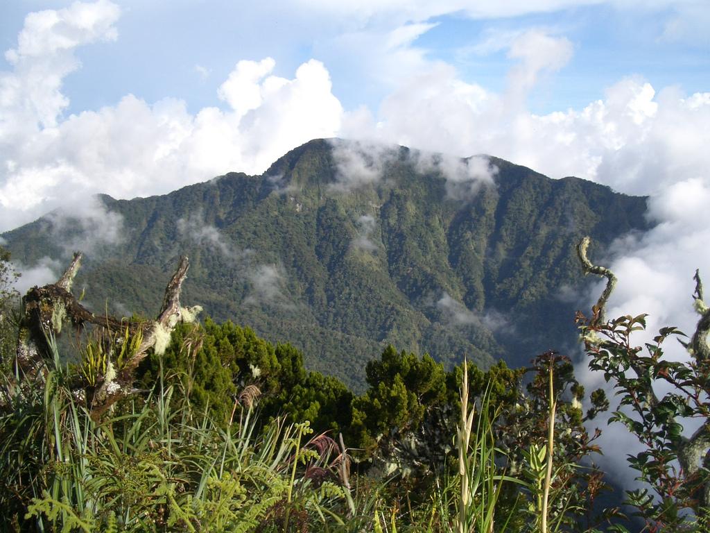 Mt. Dulang-Dulang