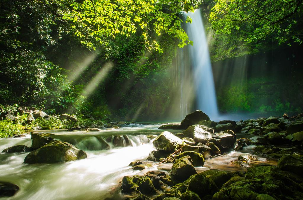 A Refreshing Bath at Buruwisan Falls