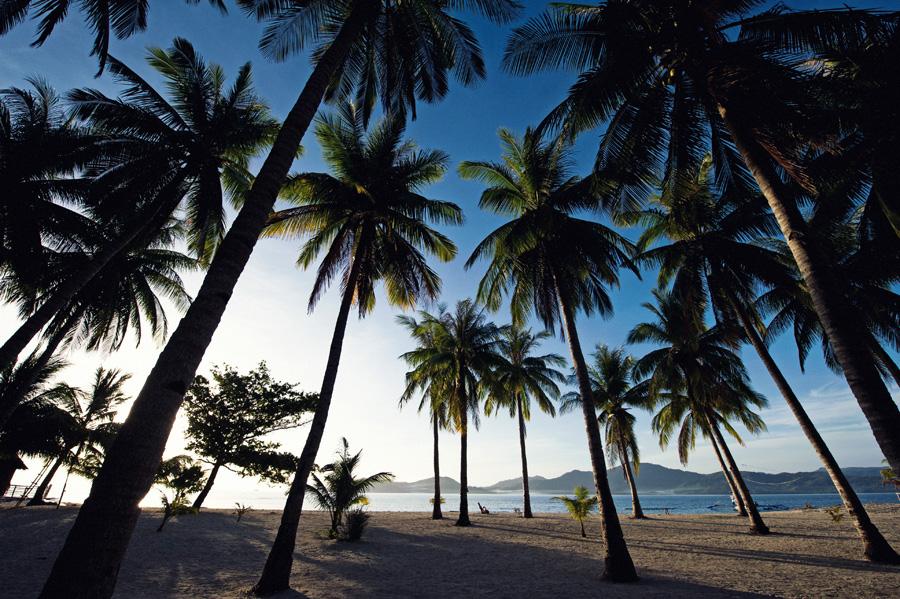 Linapacan Island: The Clearest Water to Swim Worldwide