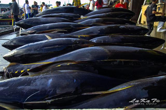 Why General Santos is the Tuna Capital of the Philippines