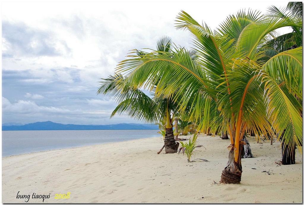 Coco Loco Island – Island like no other!