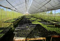 Philippines’ First Agrotourism Destination: Costales Nature Farm